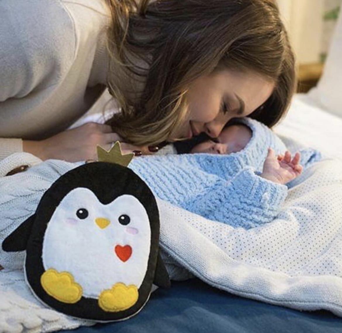 Игрушка-грелка Пингвинчик с вишневыми косточками (1643528935) - фото 2