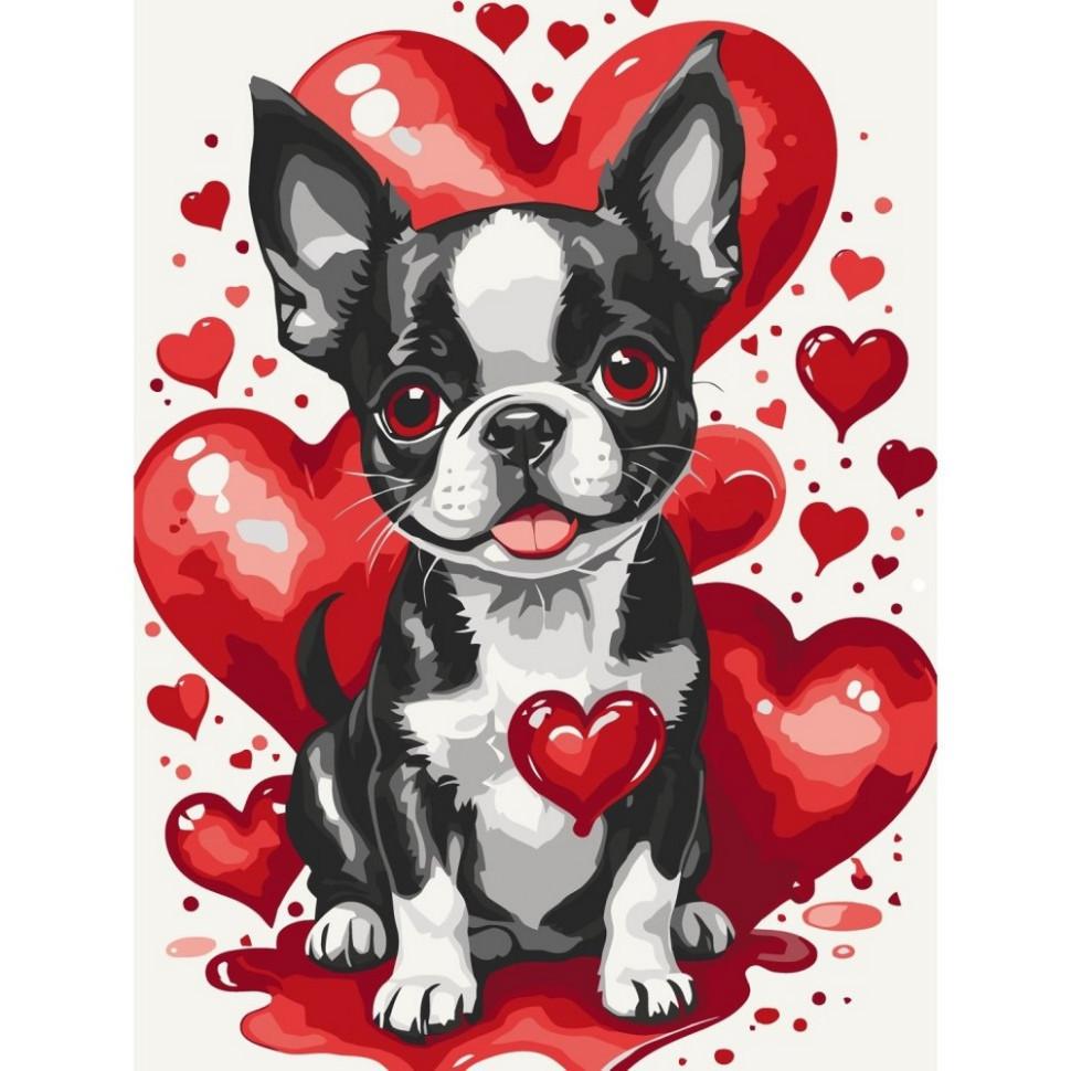 Картина по номерам ART CRAFT Ушастый Валентин 30x40 см (11701-AC)