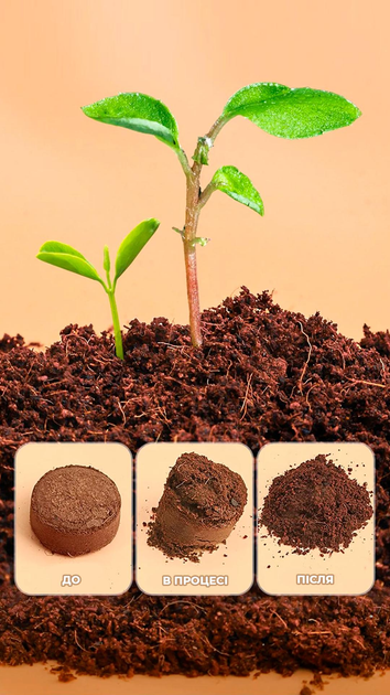 Теплица мини с аквариумом и автоматическим поливом (455056029) - фото 9