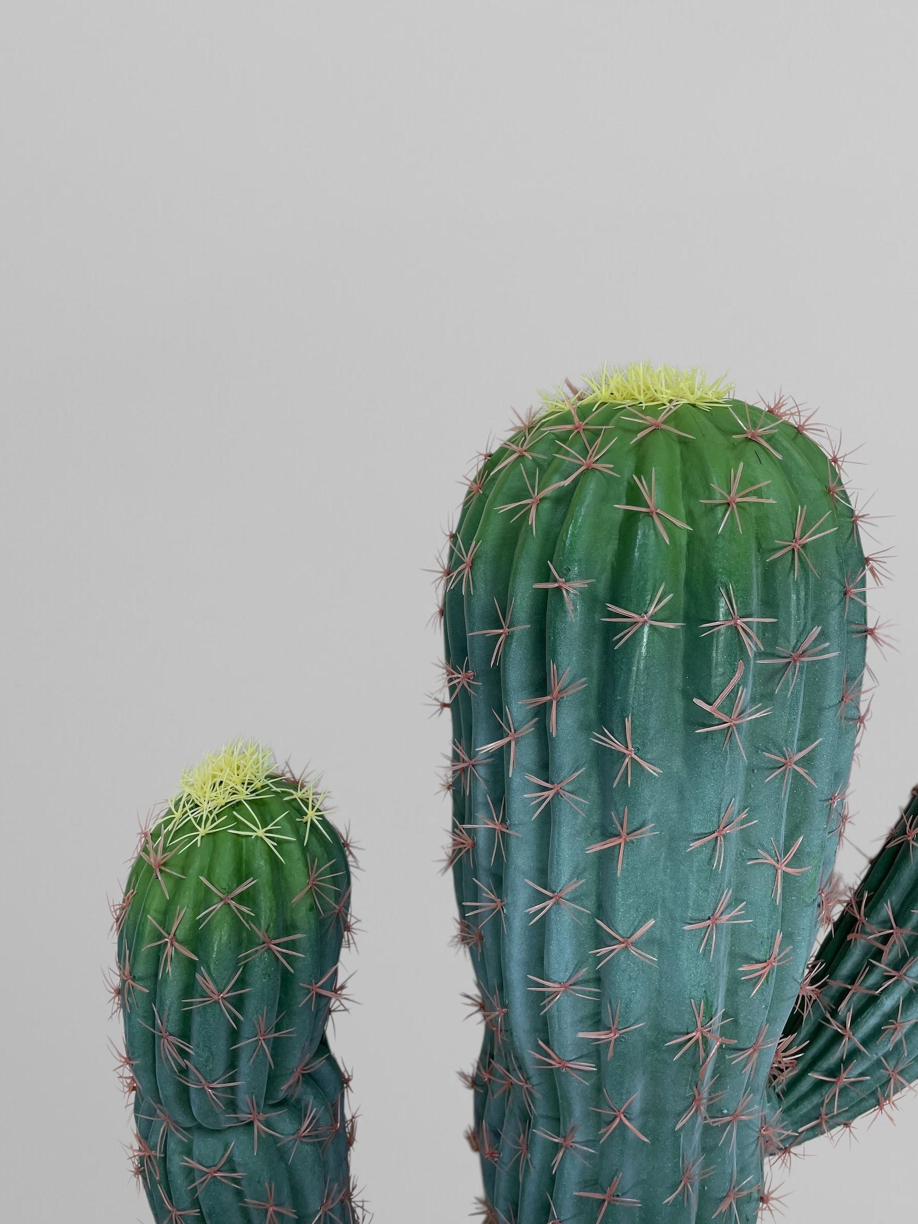 Искусственный декоративный кактус без горшка 205 см Зеленый (Р06004) - фото 7 Искусственный декоративный кактус без горшка 205 см Зеленый (Р06004) - фото 7