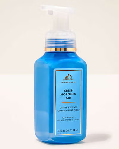 Мыло-пена для рук Bath & Body Works Crisp Morning Air Gentle & Clean Foaming Hand Soap 259 мл (667559287308)