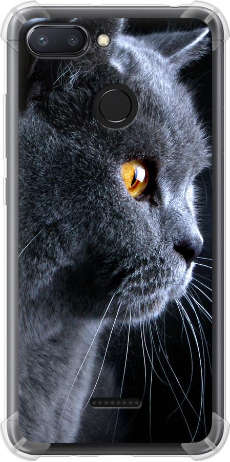 Чехол на Xiaomi Redmi 6 Красивый кот (3038sp-1521-42517)