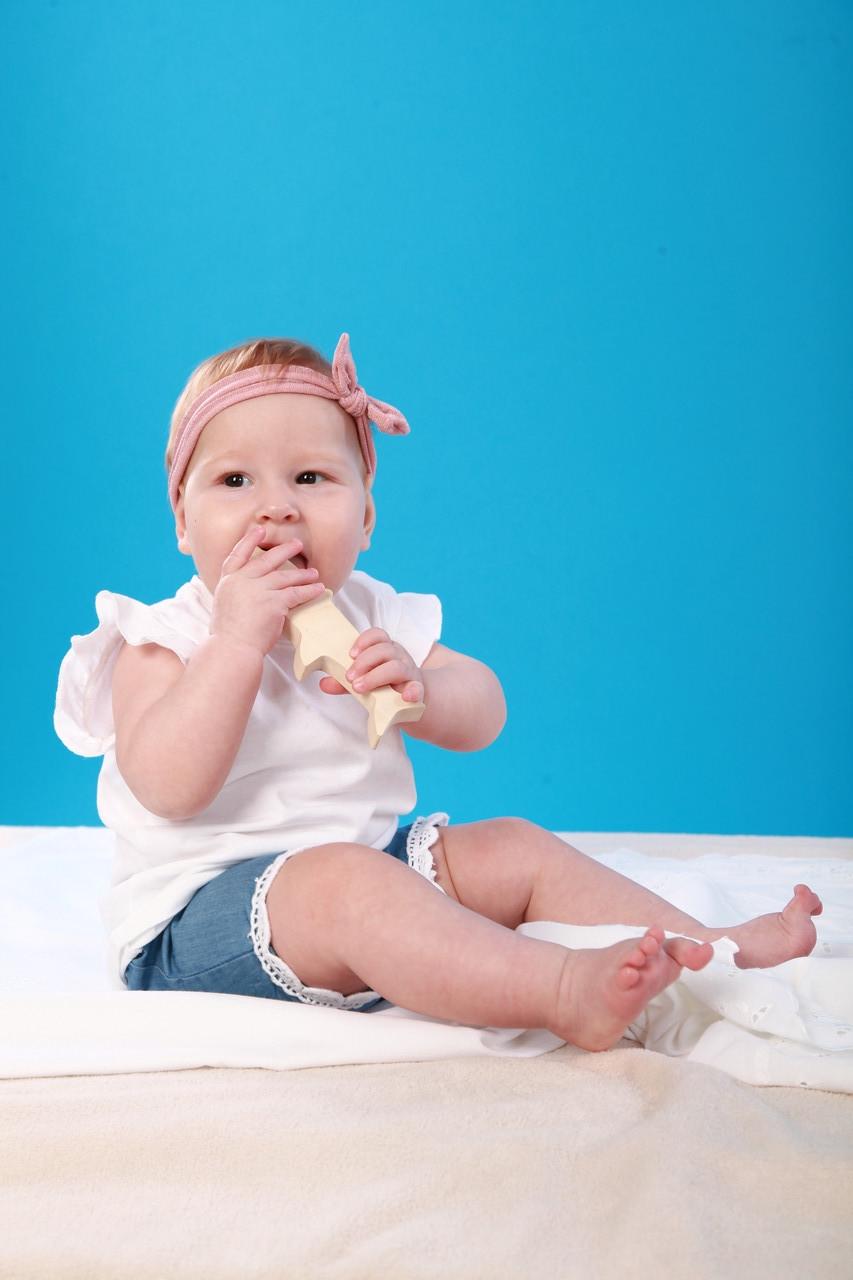 Грызунок HEGA Моторика (163) - фото 7 Грызунок HEGA Моторика (163) - фото 7