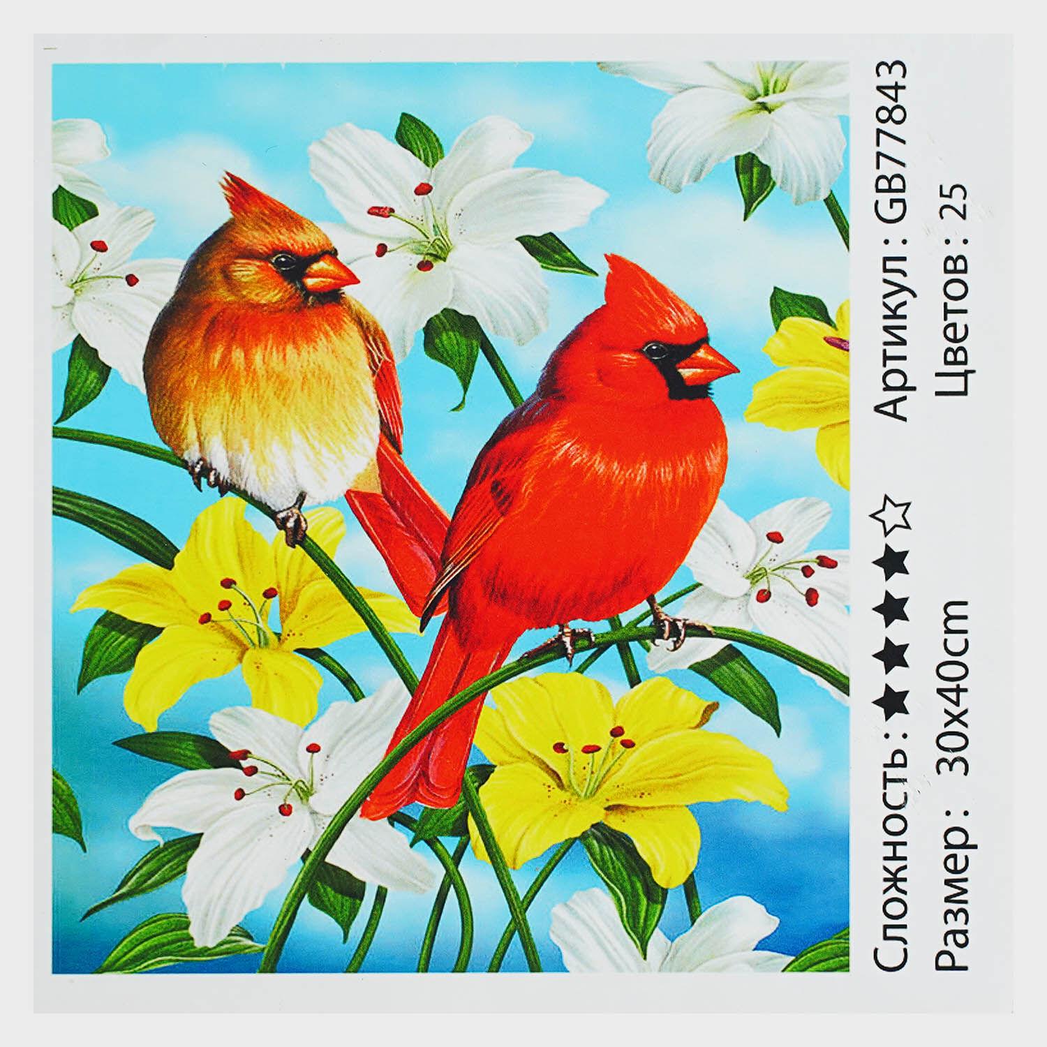 Алмазная мозаика TK Group Маленькие птички 30х40 см (GB 77843)