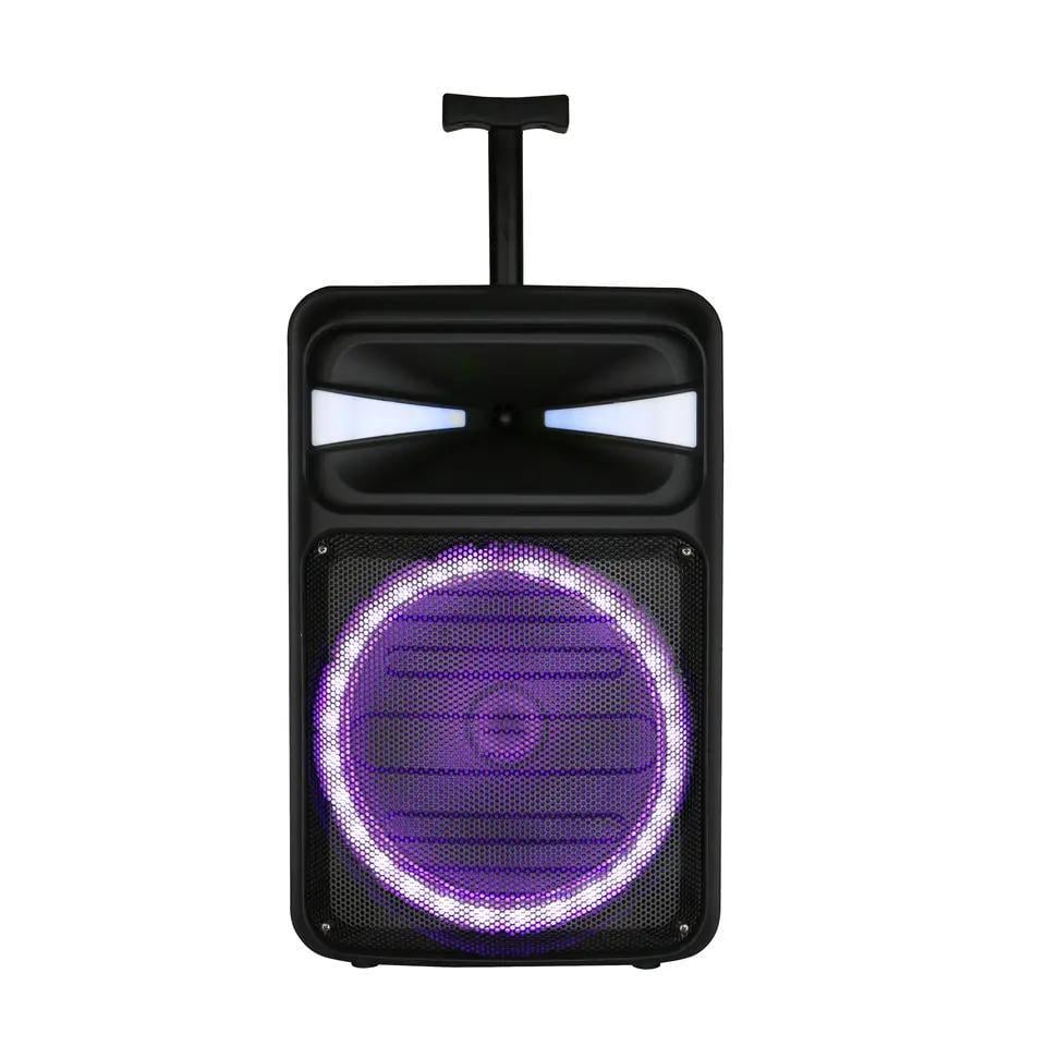Портативная акустическая система Winso RX1225D-12"x1 20W 4500 mAh с караоке микрофоном (d3c30b9c)