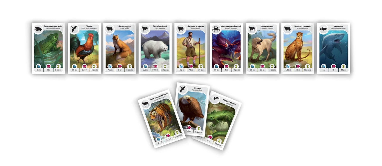 Настольная игра Картолиния: Животные (2087735018) - фото 3