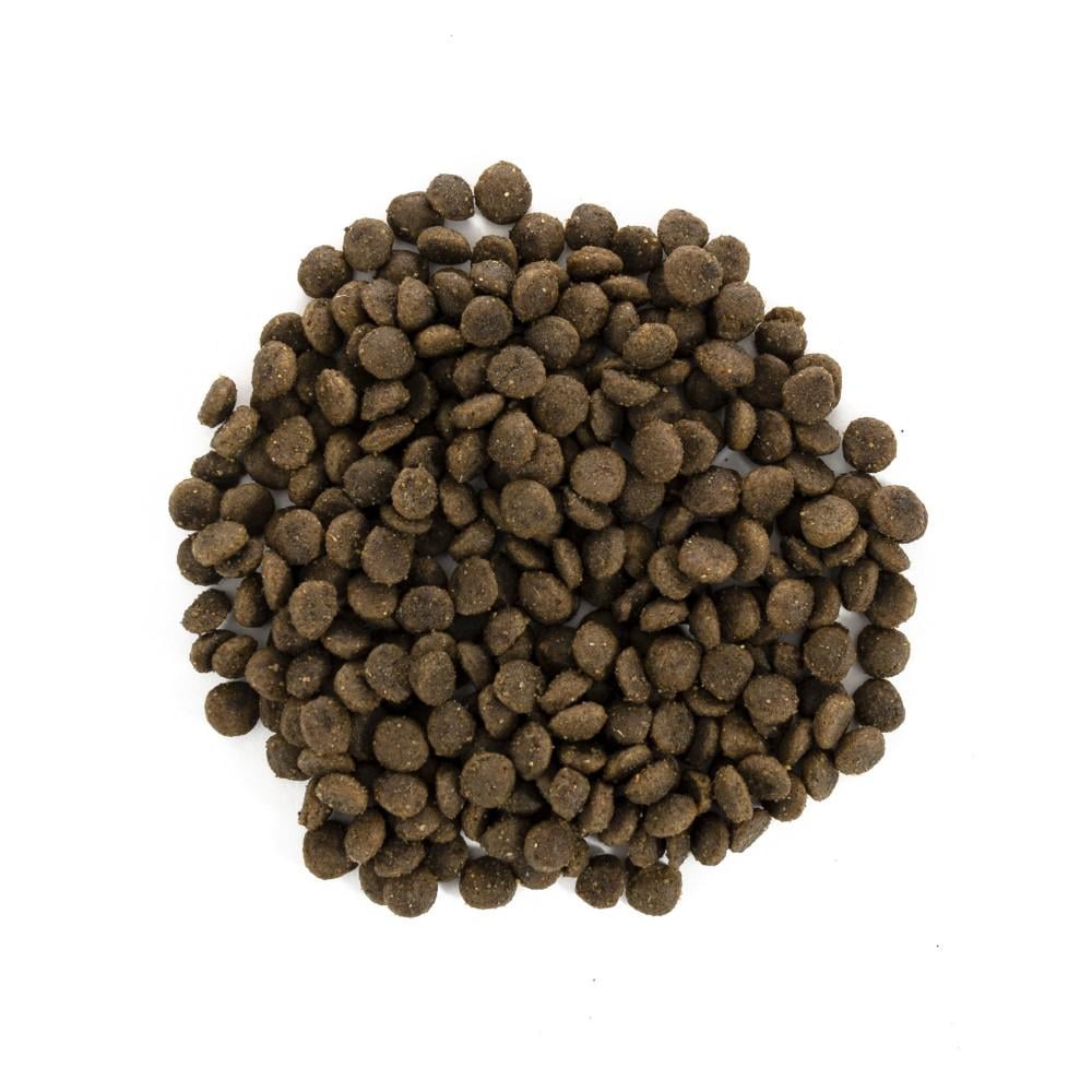 Корм сухой Brit Care GF Mini Puppy Lamb для щенков и молодых собак миниатюрных пород 2 кг (170773) - фото 2