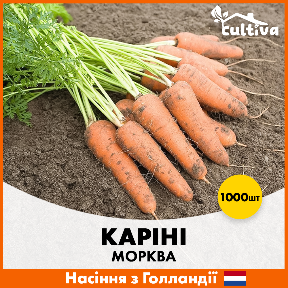 Семена моркови Bejo Карини 1000 шт. (XR50236)
