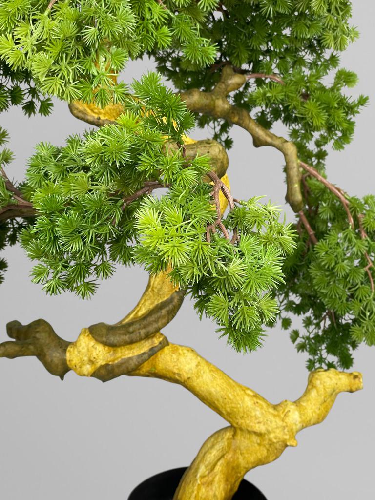 Искусственный гольчатый бонсай 90 см Зеленый (Б014) - фото 6 Искусственный гольчатый бонсай 90 см Зеленый (Б014) - фото 6