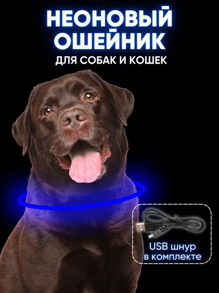 Ошейник для собак Led средний 50 см Синий (OM7) - фото 3 Ошейник для собак Led средний 50 см Синий (OM7) - фото 3