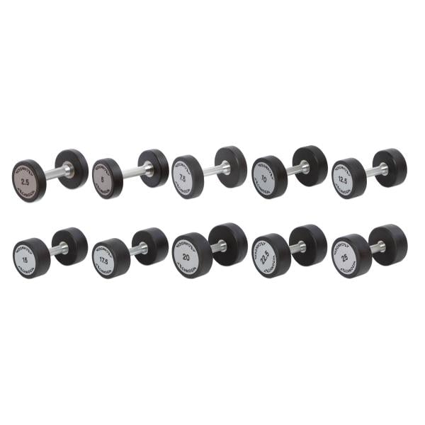 Гантельный ряд Technogym TG 2,5-25 кг 10 пар/275 кг (35352355)