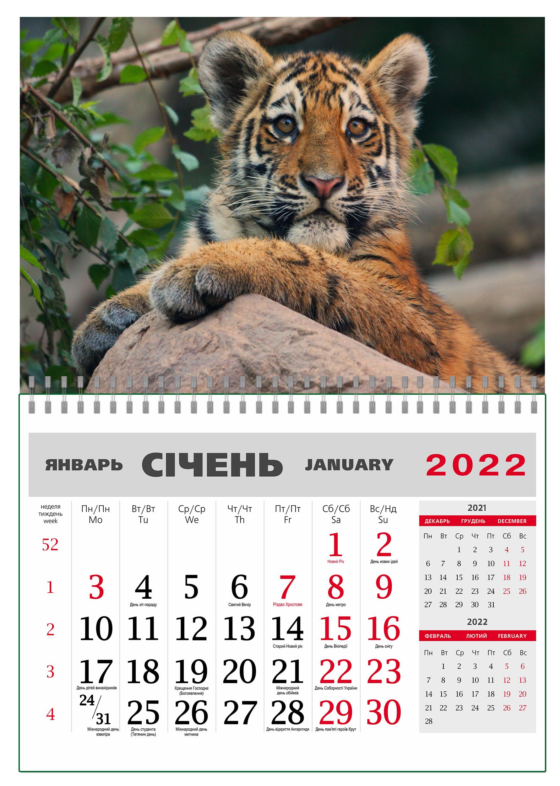 Календарь Apriori Тигренок квартальный на 2022 год 42х60 см Календарь Apriori Тигренок квартальный на 2022 год 42х60 см