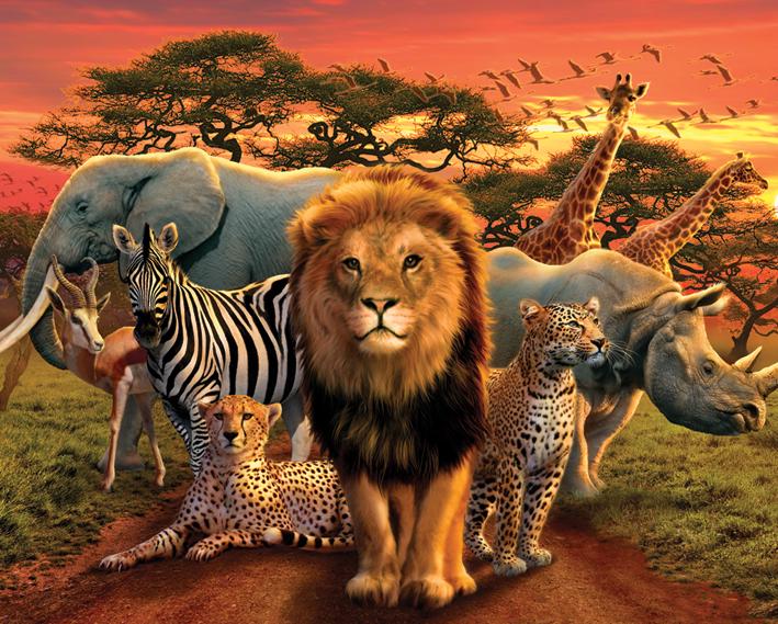 Постер плакат Африканское Королевство/African Kingdom 40x50 см