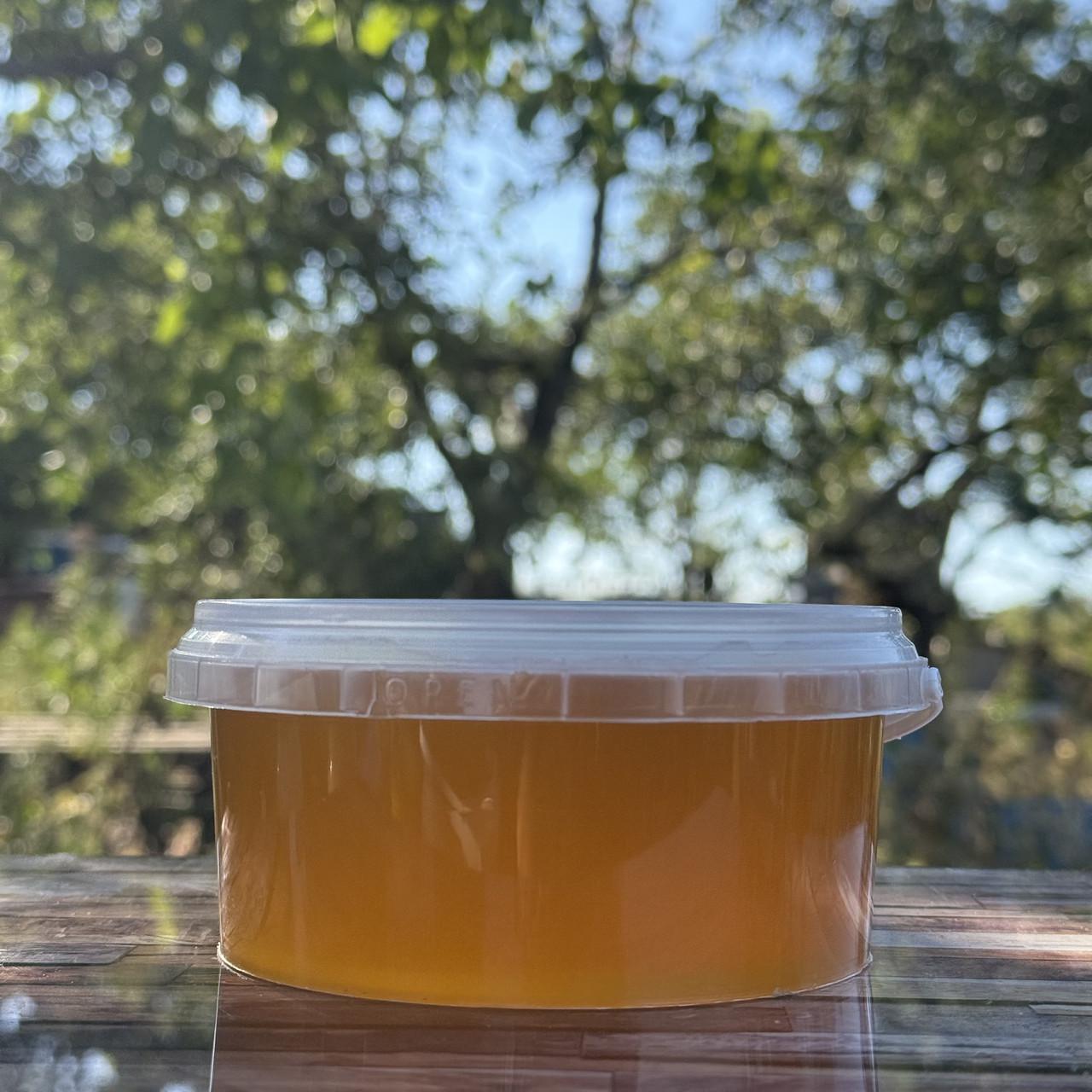 Мед Разнотравье светлое из кочевой пасеки 0,5 л/700 г 2025 г. (2728015022)