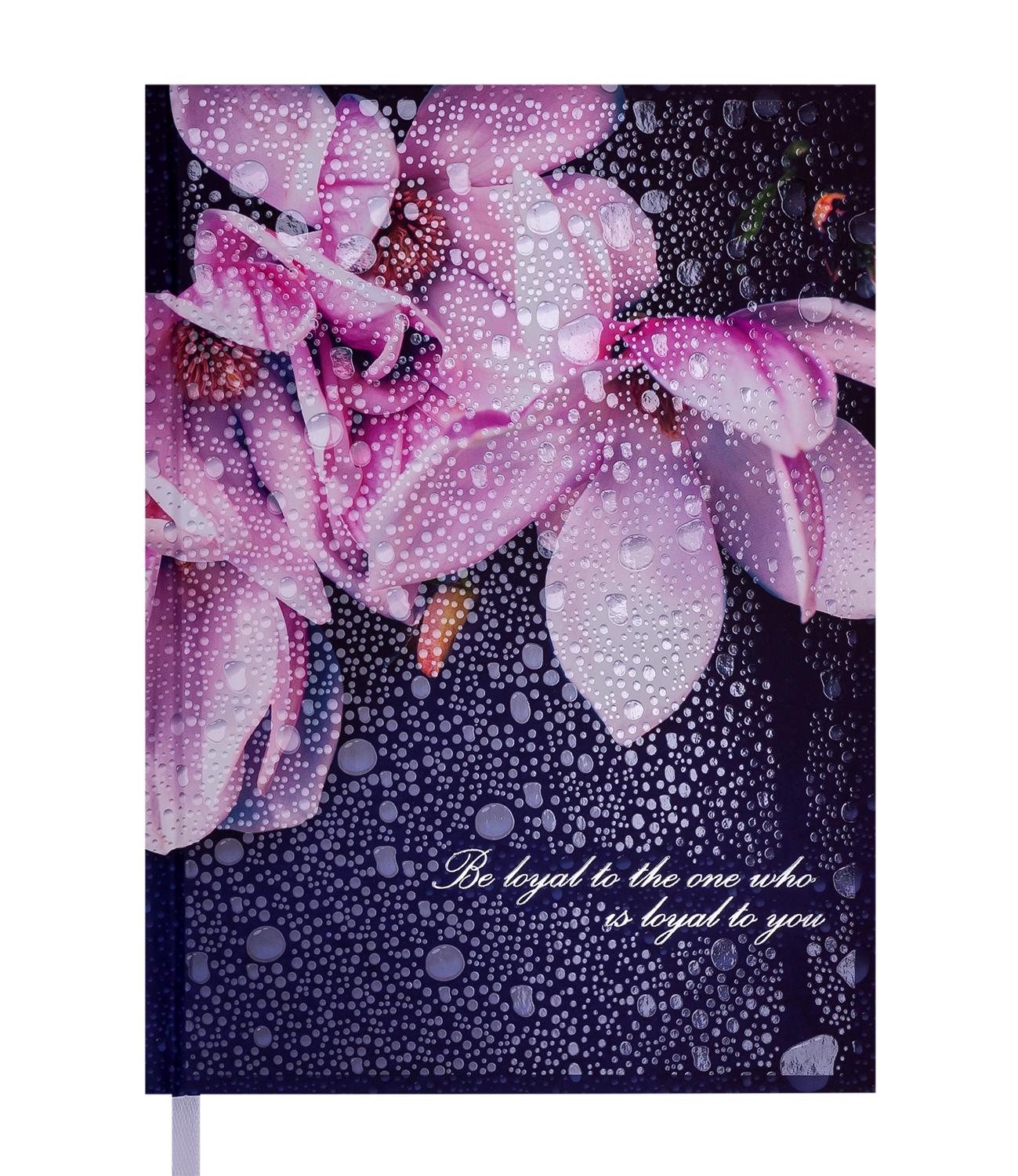 Ежедневник недатированный Buromax Posh A5 288 страниц Кобальтовый (BM.2013-54)