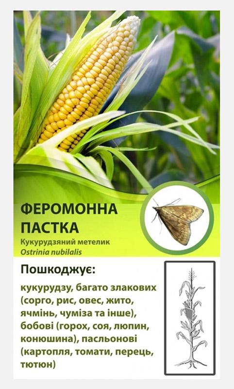 Феромонная ловушка от кукурузного стеблевого мотылька (27861329)