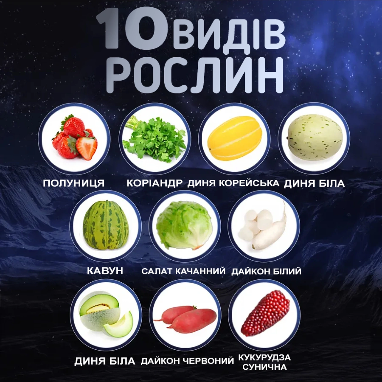 Детский агро-набор с мини-тепличкой для выращивания растений (29093443) - фото 9 Детский агро-набор с мини-тепличкой для выращивания растений (29093443) - фото 9