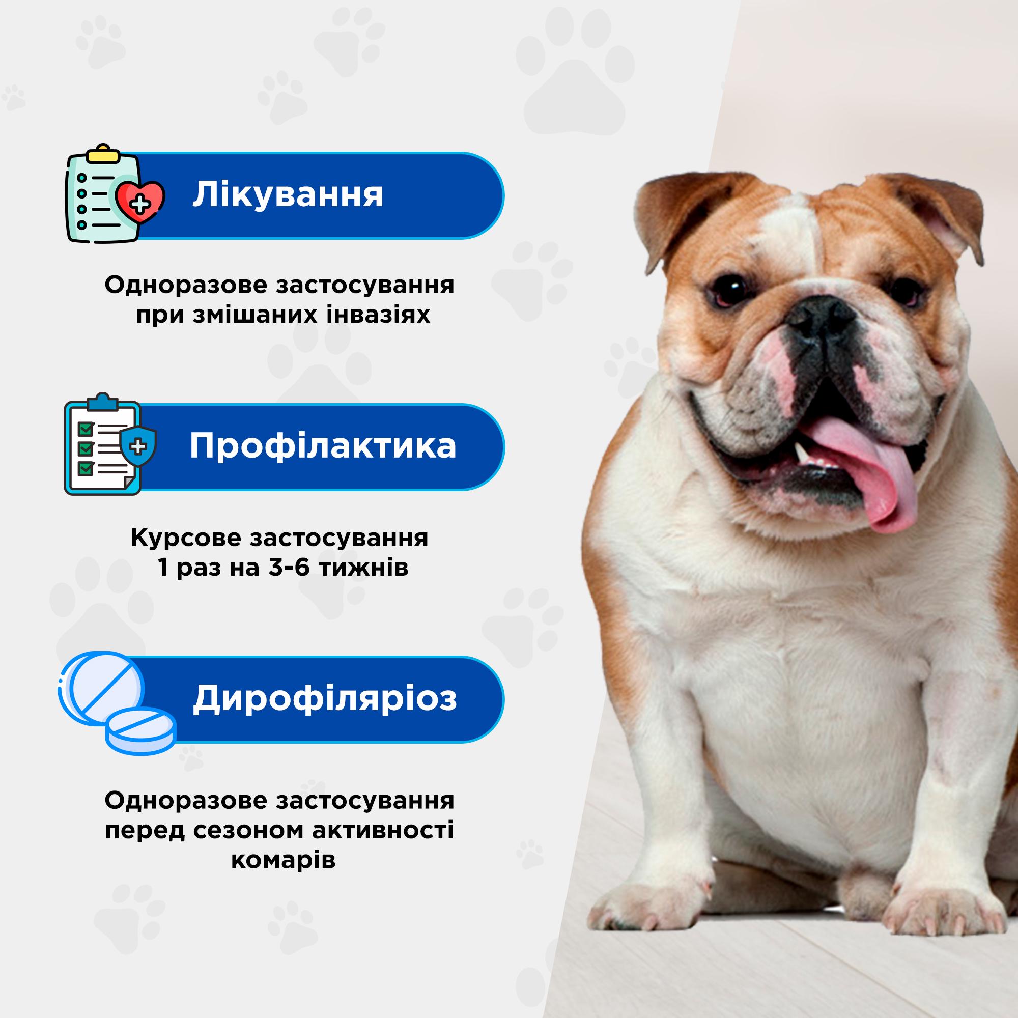 Таблетки протипаразитарні ModeS Квадромідас для собак 2-4 кг 0,2 г (27849786) - фото 2 Таблетки протипаразитарні ModeS Квадромідас для собак 2-4 кг 0,2 г (27849786) - фото 2