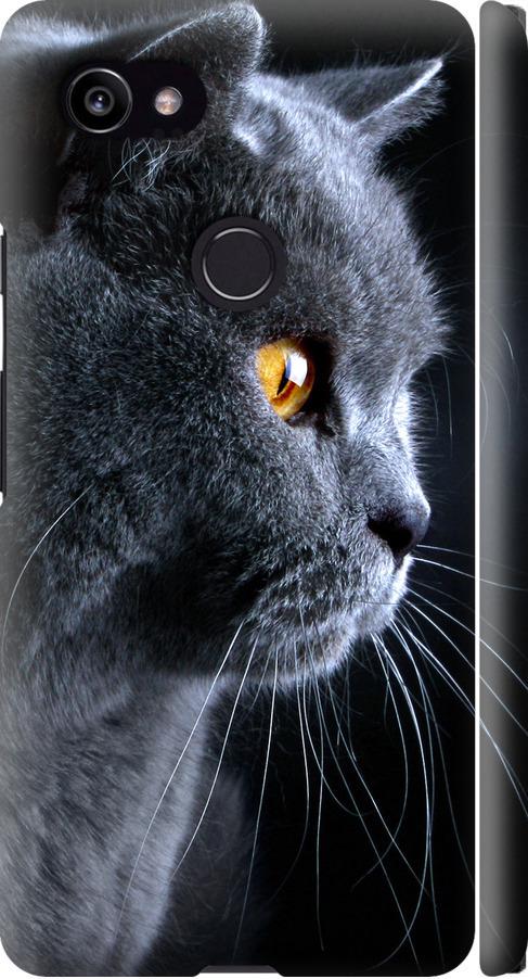 Чехол на Google PixeL 2 XL Красивый кот (3038m-1643-42517)