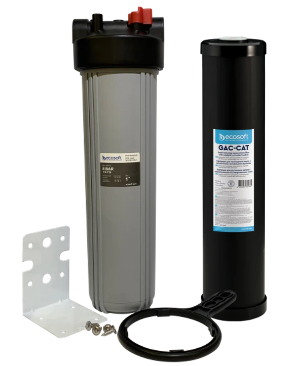 Комплект фільтру для видалення сірководню Ecosoft BB20 (FPV4520ECOGR+CRVS4520ECO)