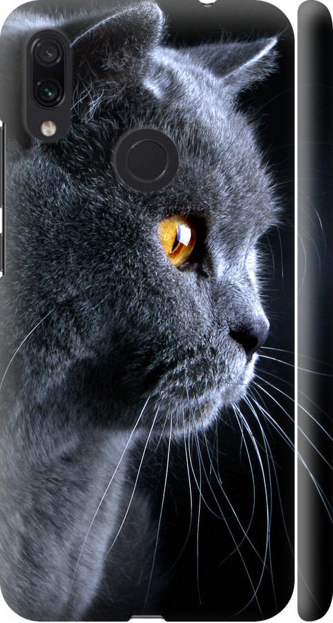 Чехол на Xiaomi Redmi Note 7 Красивый кот (3038m-1639-42517) Чехол на Xiaomi Redmi Note 7 Красивый кот (3038m-1639-42517)