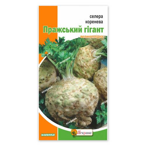 Насіння Селера Florium кореневий Празький гігант 0,2г (22036) - фото 2 Насіння Селера Florium кореневий Празький гігант 0,2г (22036) - фото 2