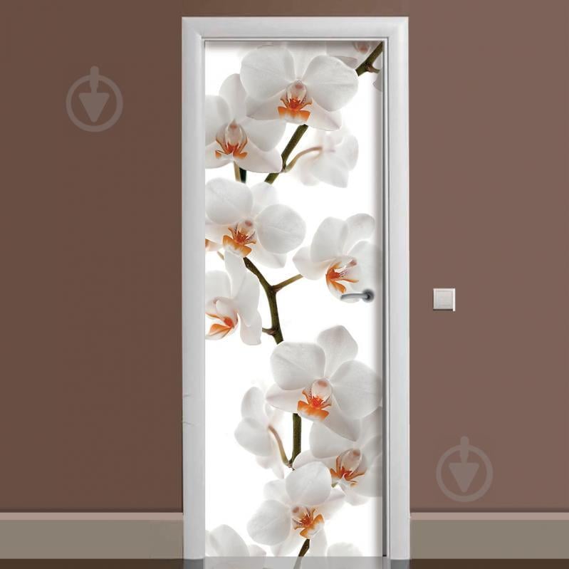 Наклейка на дверь Zatarga Ветка Орхидеи 650х2000мм