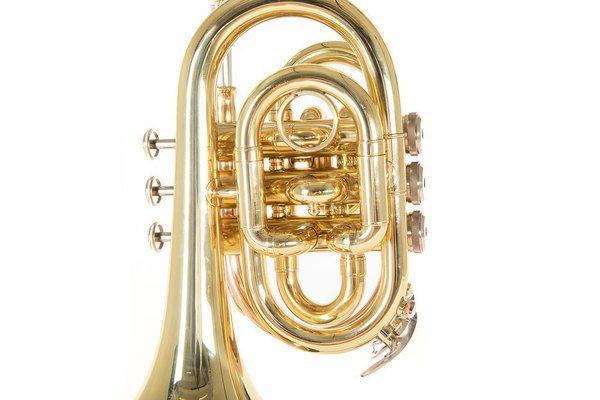 Труба карманная Roy Benson PT-101 Bb-Pocket trumpet латунь (G-RB701000) - фото 9