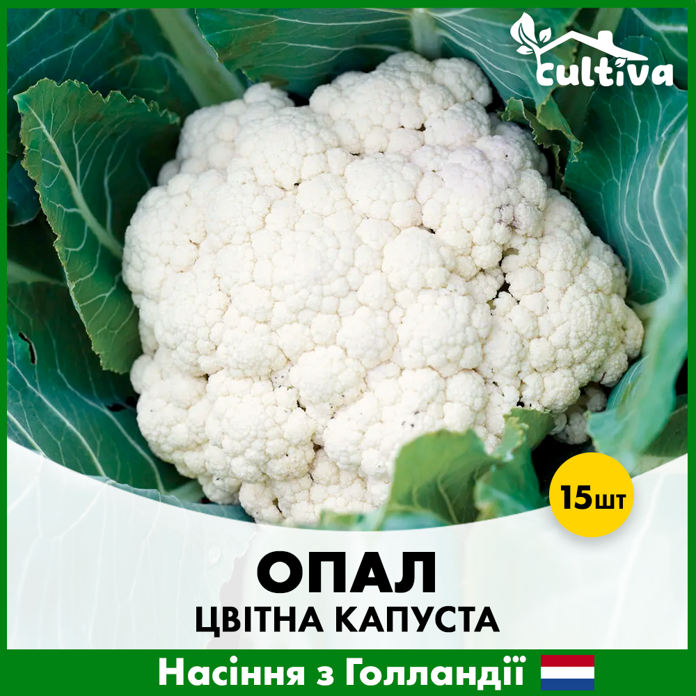 Насіння цвітної капусти Rijk Zwaan Опал 15 шт. (00366)