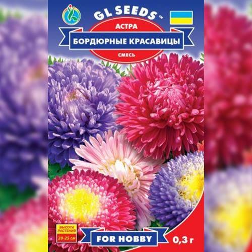 Насіння Астра Florium Бордюрні красуні (17431) - фото 4