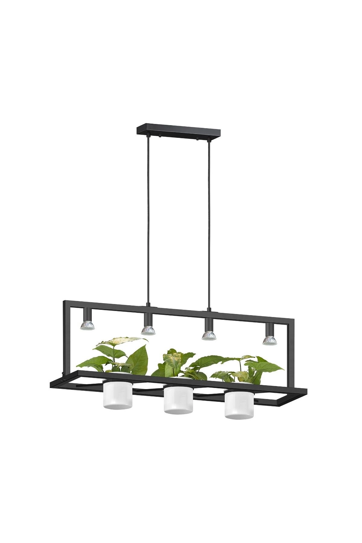 Подвесной светильник Zuma Line PLANTER (P0536-04B-P7AB)
