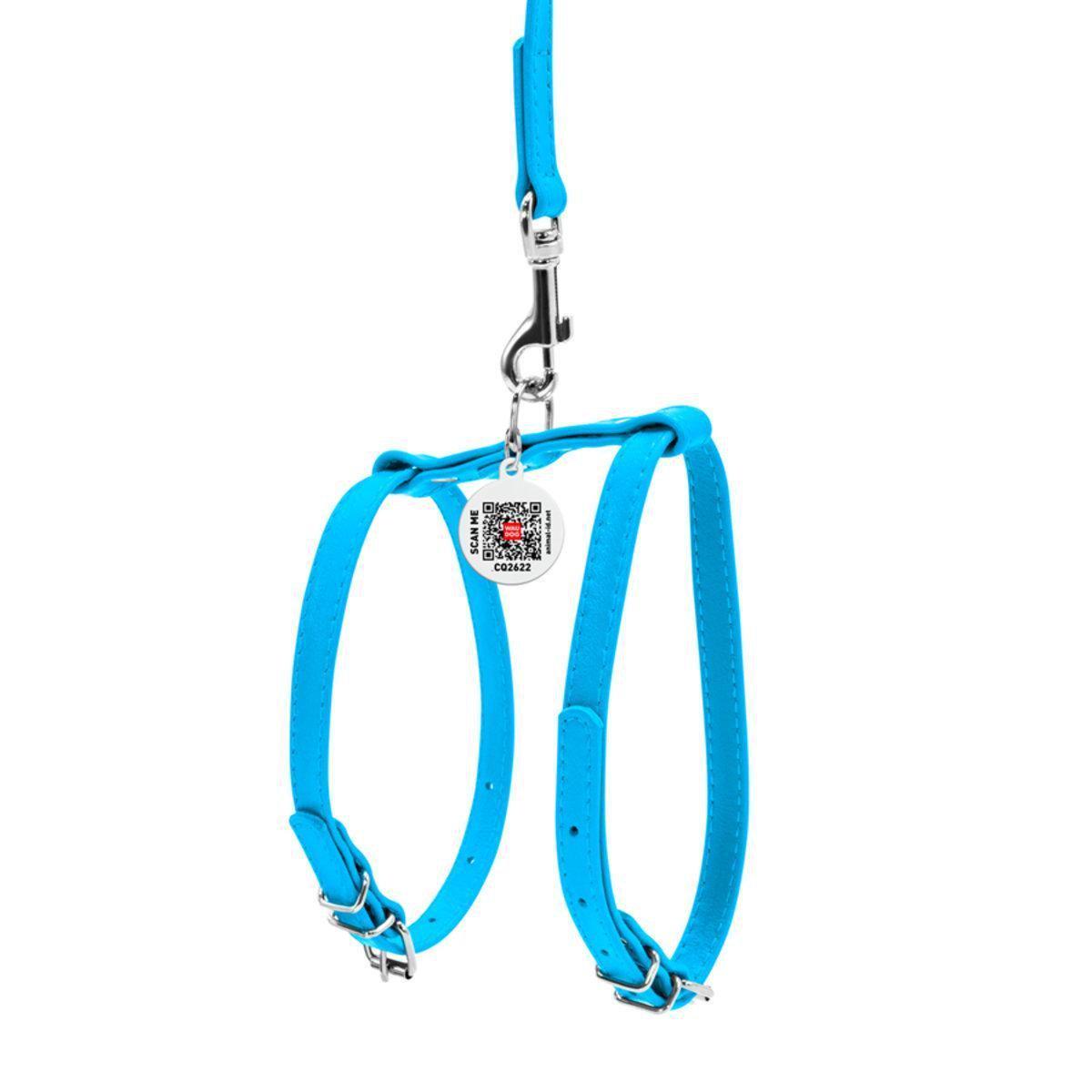 Шлея з повідцем для собак Waudog Glamour з QR паспортом/шкіряна 9 мм х 20-30 см х 30-40 см Блакитний (33992 Col) Шлея з повідцем для собак Waudog Glamour з QR паспортом/шкіряна 9 мм х 20-30 см х 30-40 см Блакитний (33992 Col)