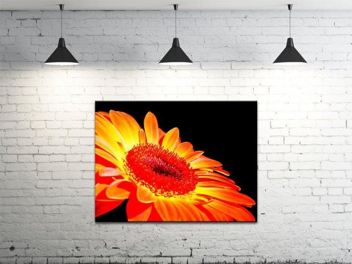 Картина на холсте DK Гербера 45х60 см (DKP4560-c39)