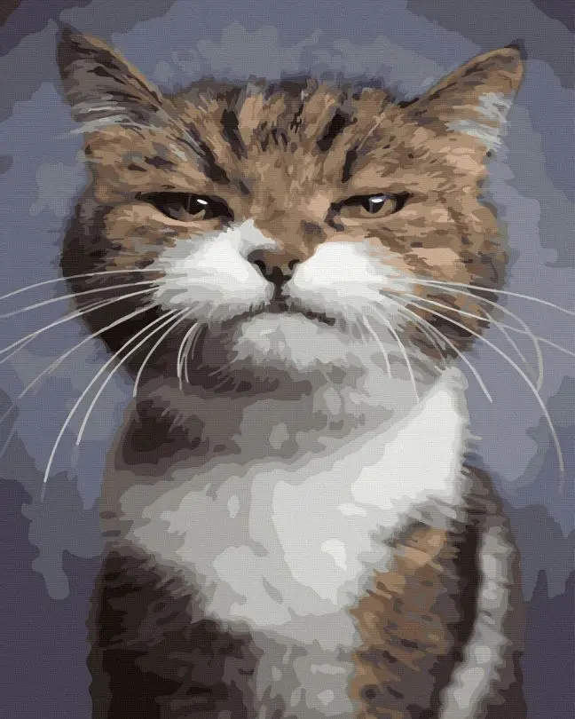 Картина по номерам Brushme Котяка-подозревака 40x50 см (BK-GX45147)
