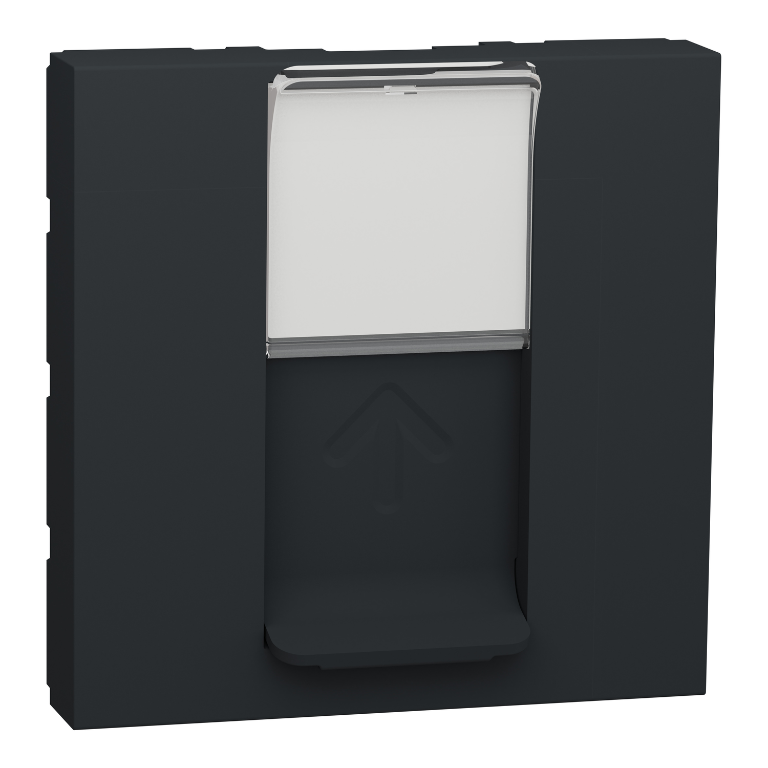 Накладка для розетки Schneider Electric Unica RJ45 2 модуля Антрацит (NU941154)