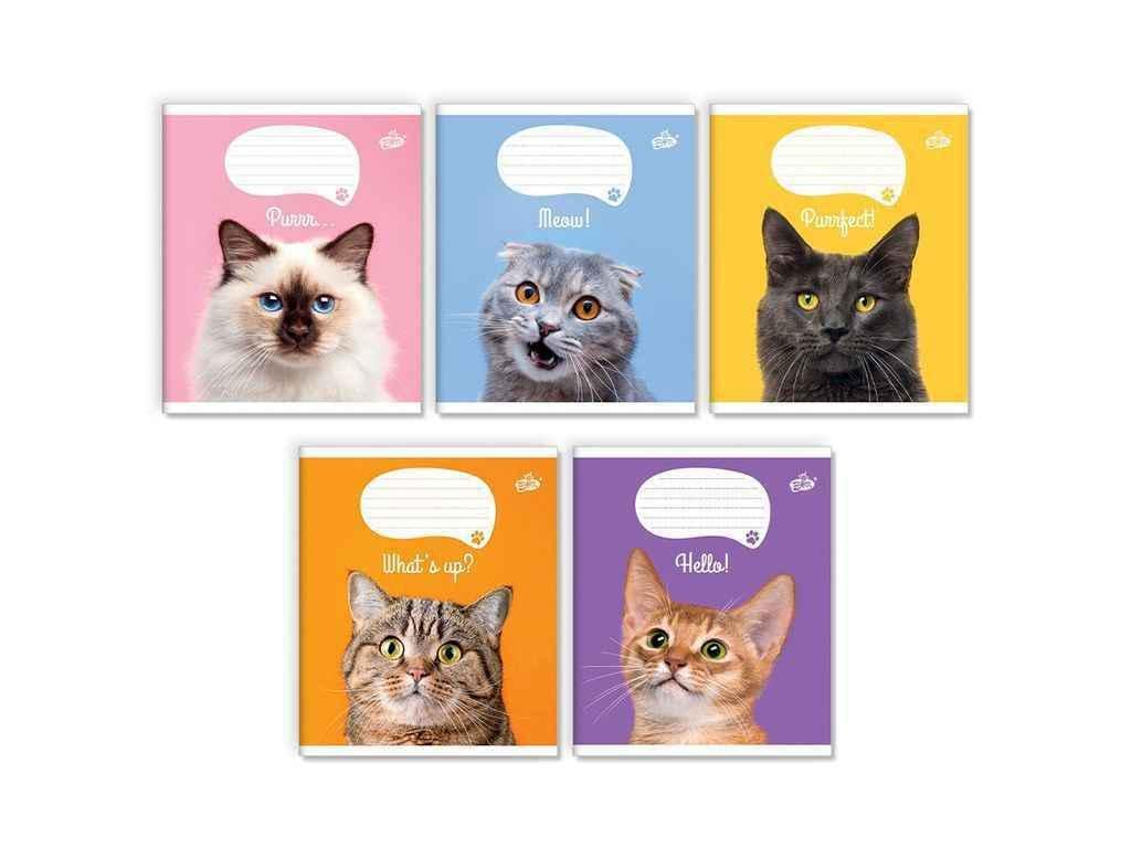 Тетрадь в линию Бріск 12 л. 25 шт. ТВ-107 №2484 Котики (1065677)