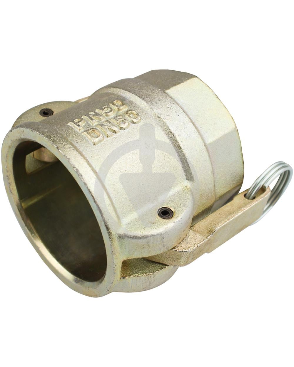 Соединения PUTZMEISTER MT-50 CAMLOCK внутренняя резьба 2" (13475113)