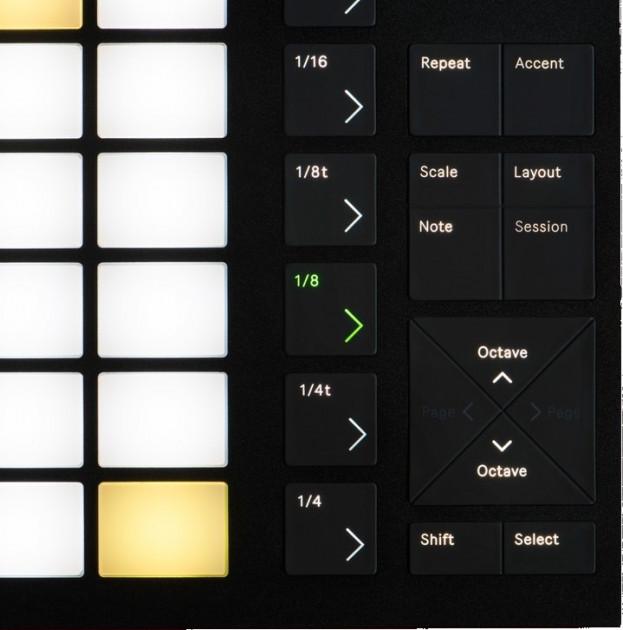 MIDI-контроллер Ableton-Push 2 Live 10 Suite Bundle - фото 2