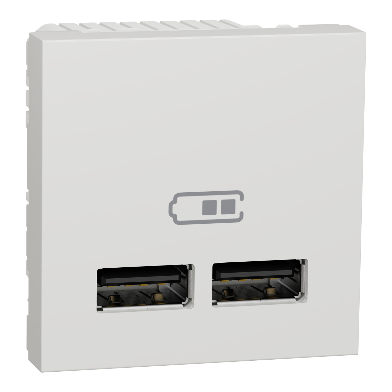 Розетка подвійна Schneider Electric Unica New USB 2,1А 2 модулі Білий (NU341818)