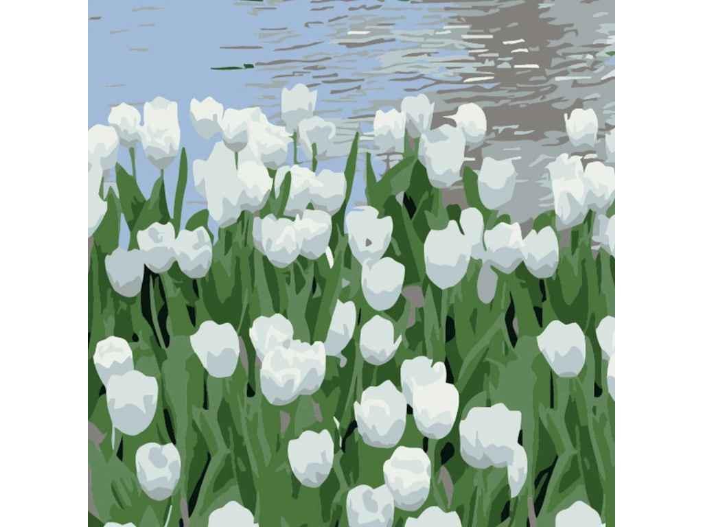 Картина по номерам Strateg Белые тюльпаны 20х20 см (HH5908)