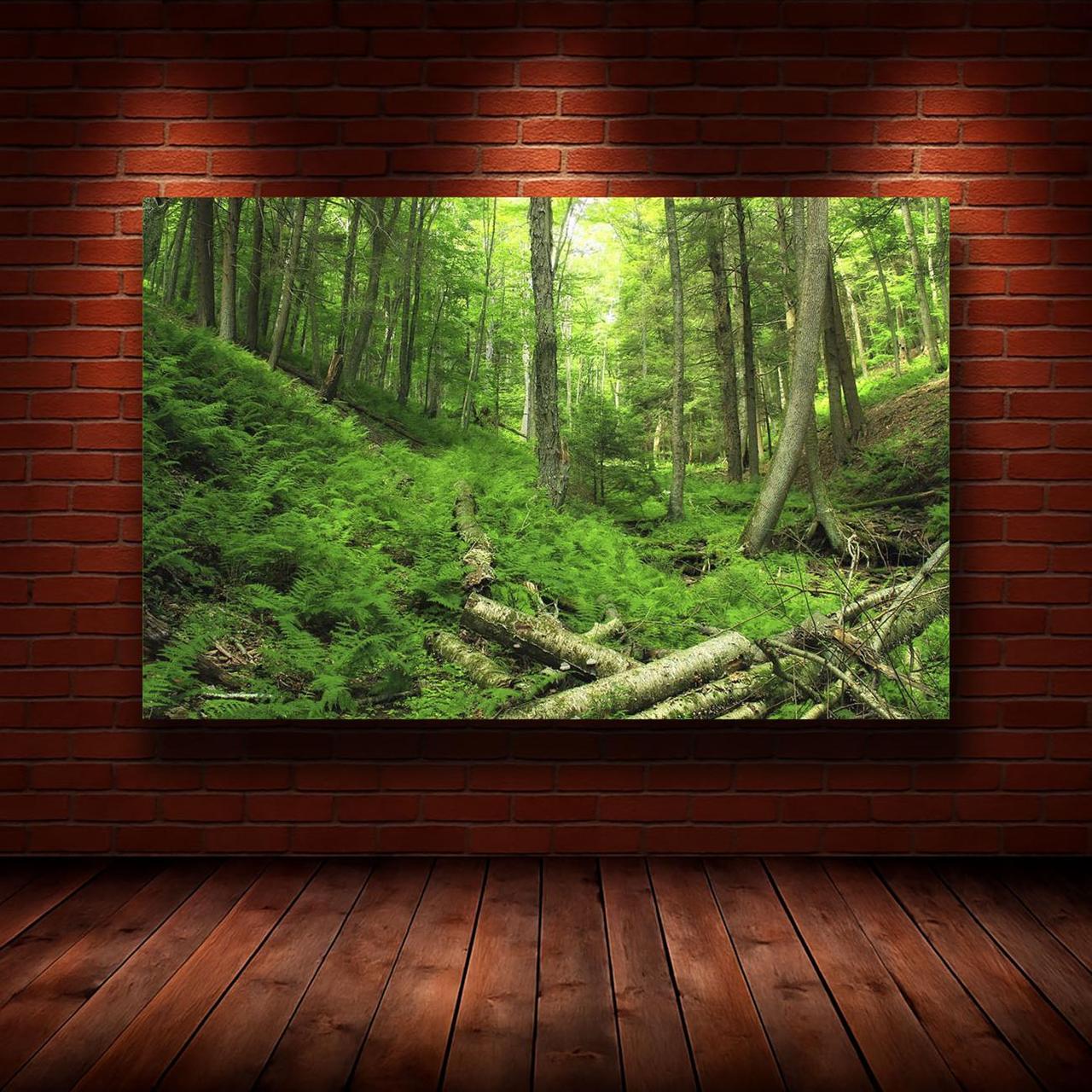 Картина на холсте Природа 50х70 см (N1192)