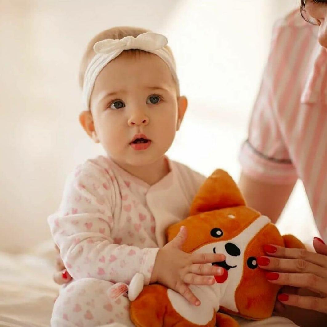 Игрушка-грелка Корги с вишневыми косточками (1643642617) - фото 2 Игрушка-грелка Корги с вишневыми косточками (1643642617) - фото 2