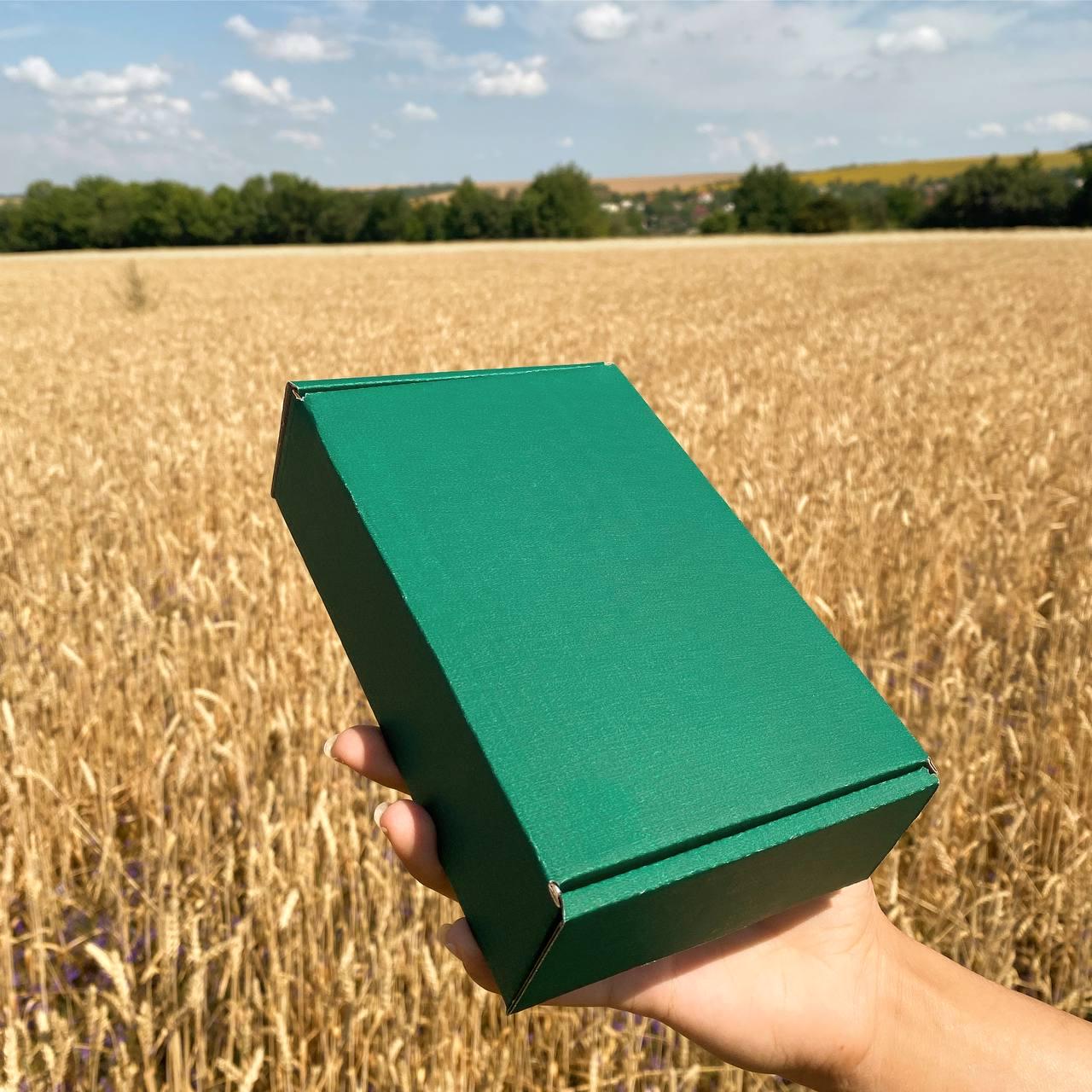 Носки мужские патриотические с украинской символикой р. 40-44 4-и пары Черный (ч4укр4) - фото 2 Носки мужские патриотические с украинской символикой р. 40-44 4-и пары Черный (ч4укр4) - фото 2