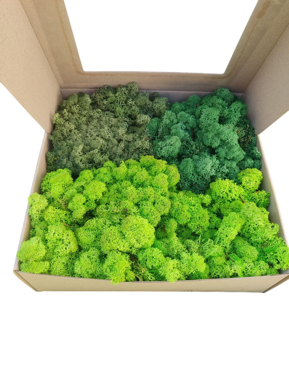 Стабилизированный мох ягель для декора Норвегия Green Light/Green Dark/Medium (2796937114)