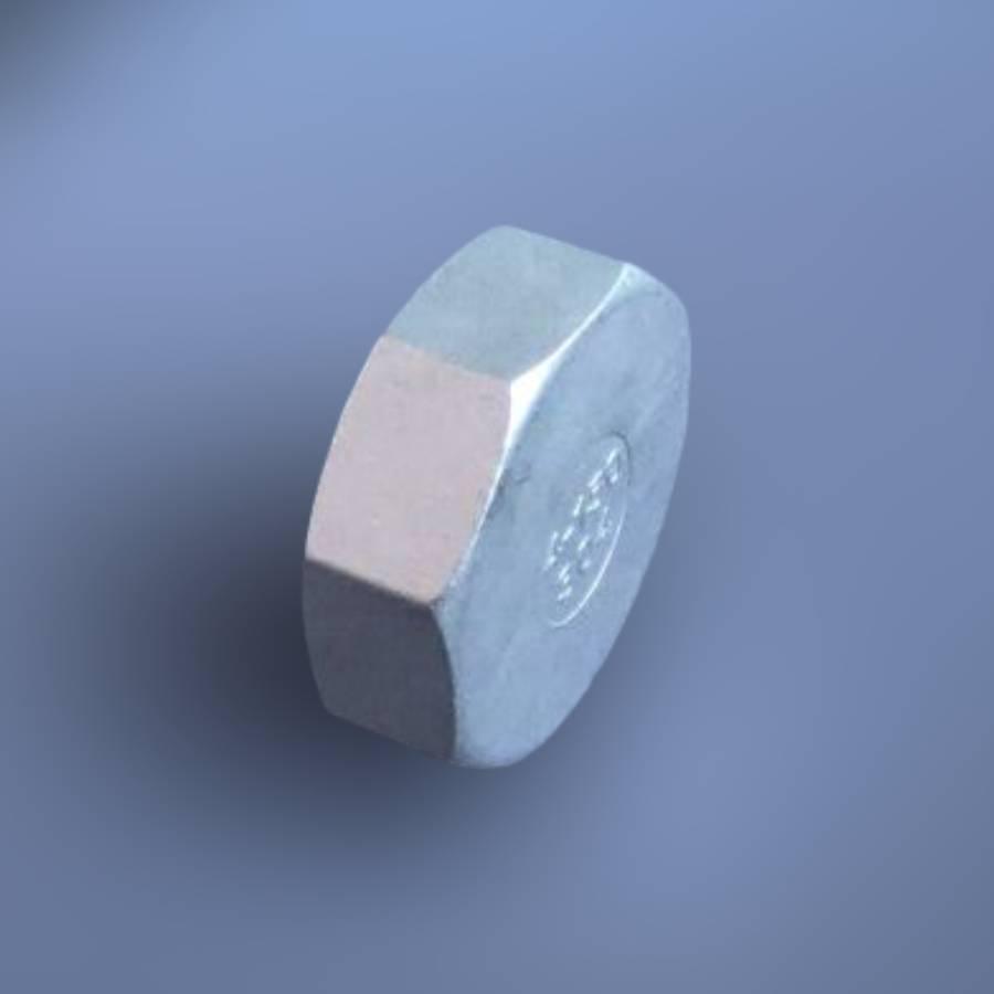 Заглушка восьмигранна DN100 BSPP н/ж сталь AISI304 Class-150 внутрішня різьба 4" (29203214) - фото 13 Заглушка восьмигранна DN100 BSPP н/ж сталь AISI304 Class-150 внутрішня різьба 4" (29203214) - фото 13