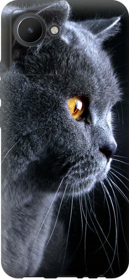 Чехол на Realme C30 Красивый кот (3038u-2700-42517)