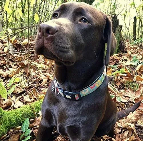 Ошейник для собак Max&Molly Smart ID Collar Donuts XS (27426425) - фото 2 Ошейник для собак Max&Molly Smart ID Collar Donuts XS (27426425) - фото 2