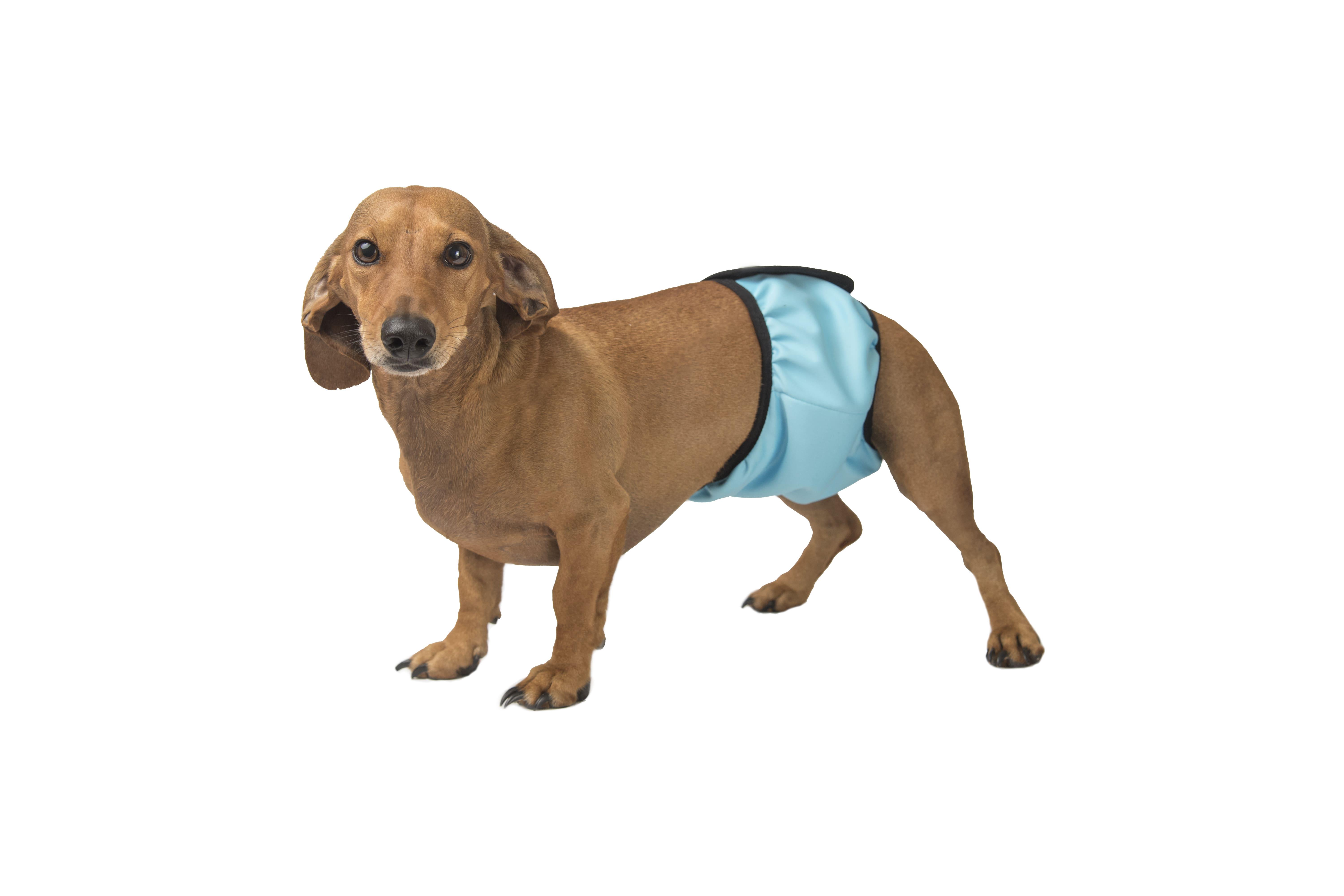 Пояс для псів гігієнічний вбираючий Okey Doggy S Блакитний (28265560)