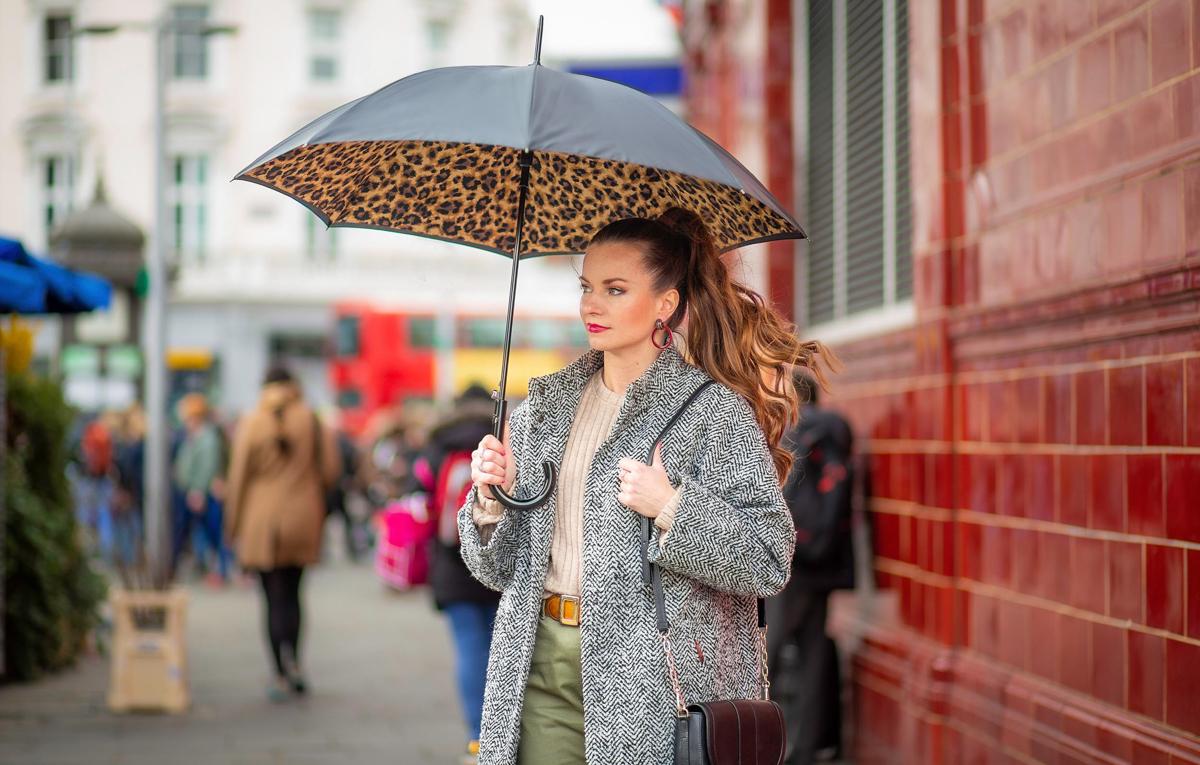 Парасолька жіноча-тростина Fulton Bloomsbury-2 L754 Lynx (L754-034941) - фото 10 Парасолька жіноча-тростина Fulton Bloomsbury-2 L754 Lynx (L754-034941) - фото 10