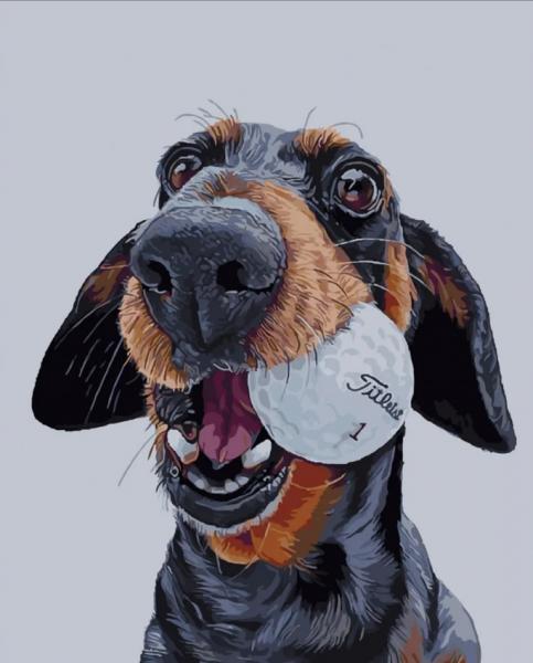 Картина по номерам Strateg Пес-бейсболист 40х50 см в термопакете (SY6127-mt)